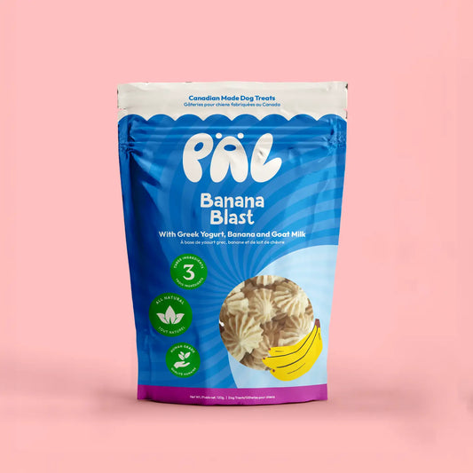 Pal Treat Co - Explosion de banane