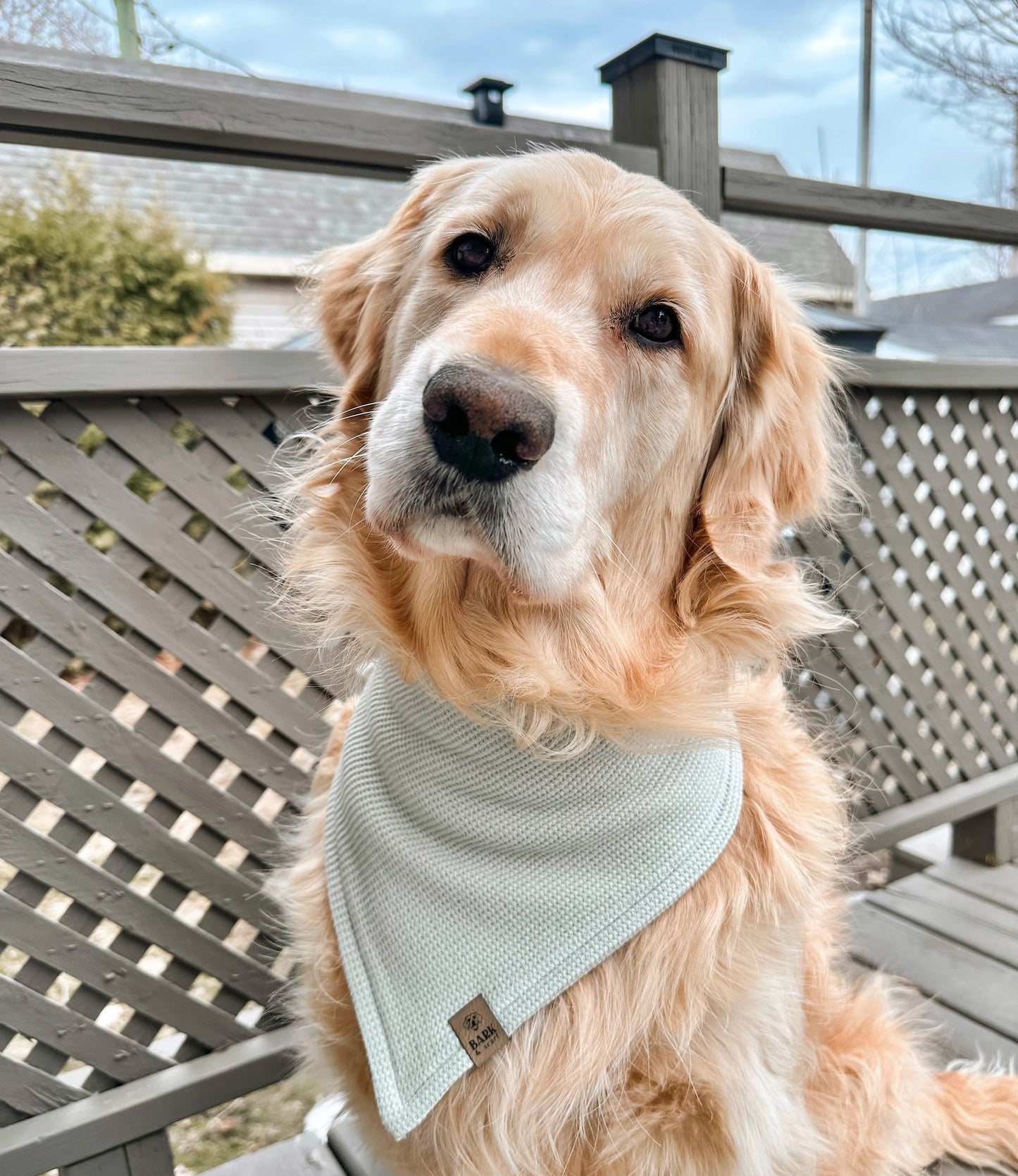 Eucalyptus Waffle Bandana