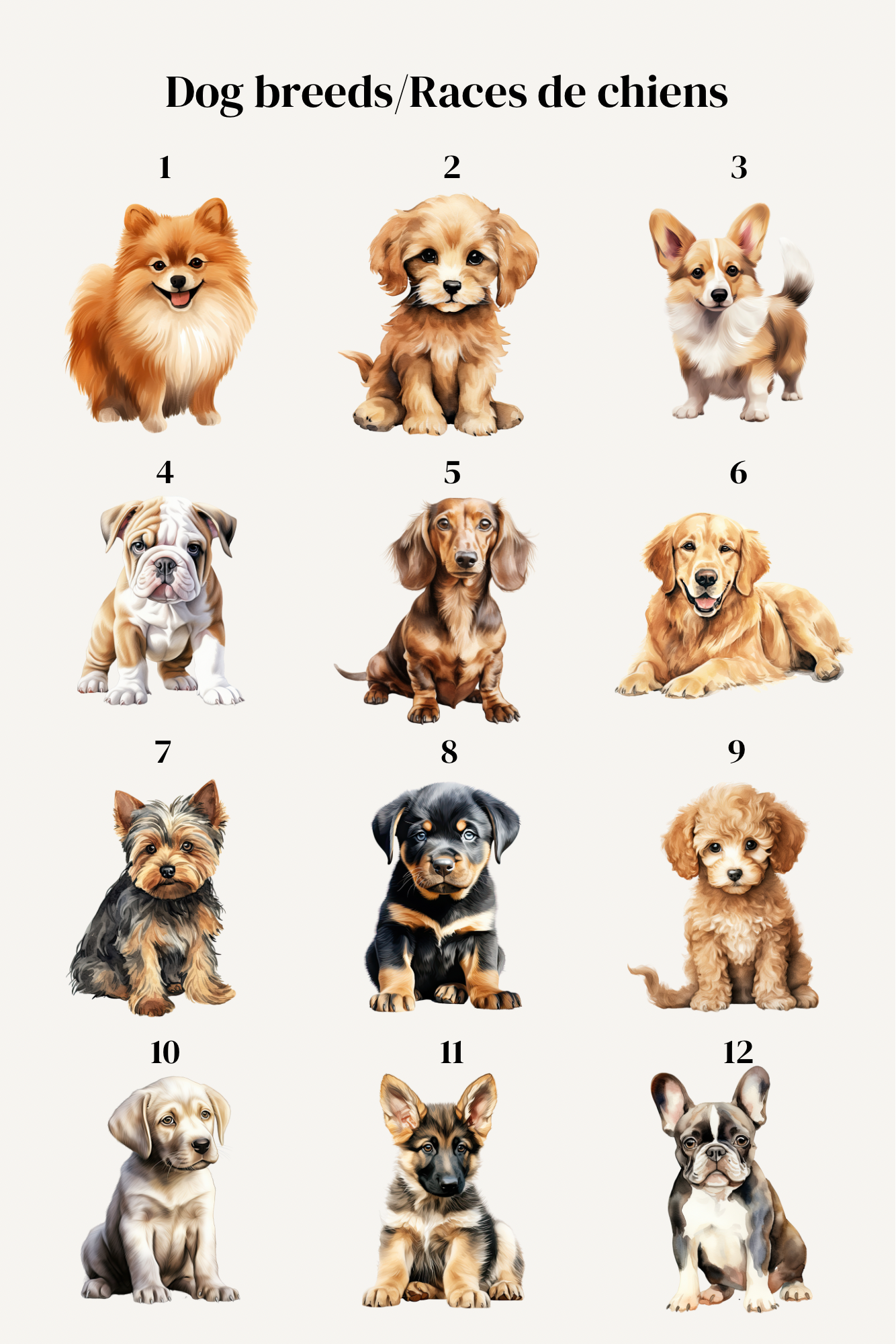 Chandail personnalisé chiens
