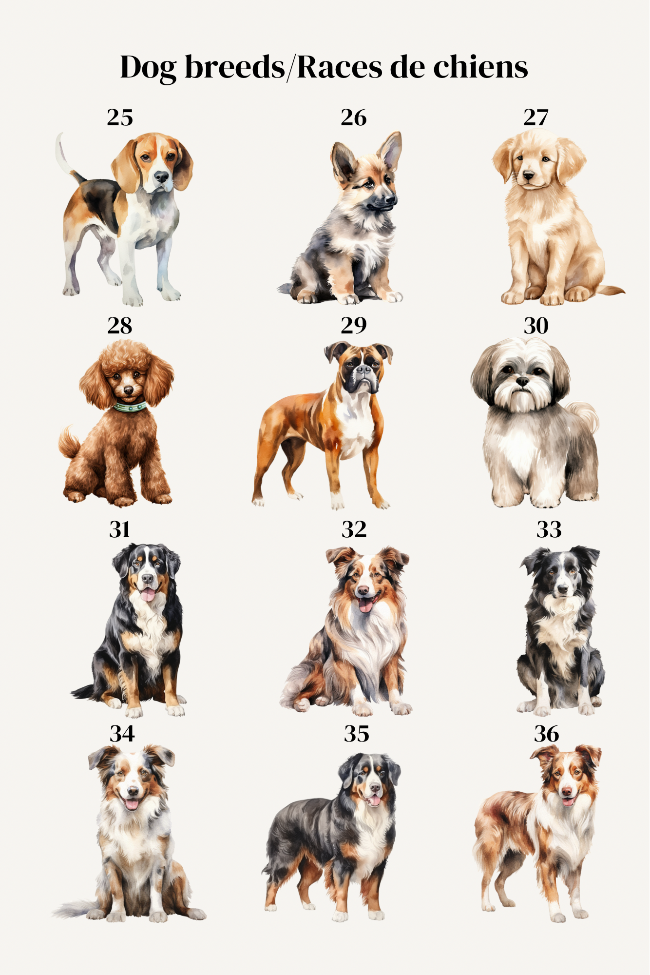 Chandail personnalisé chiens