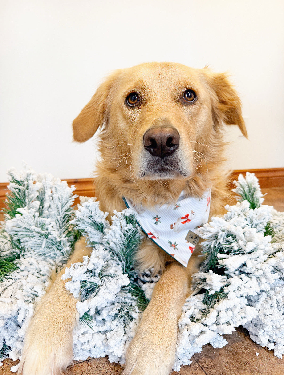 Holiday Waddles Bandana