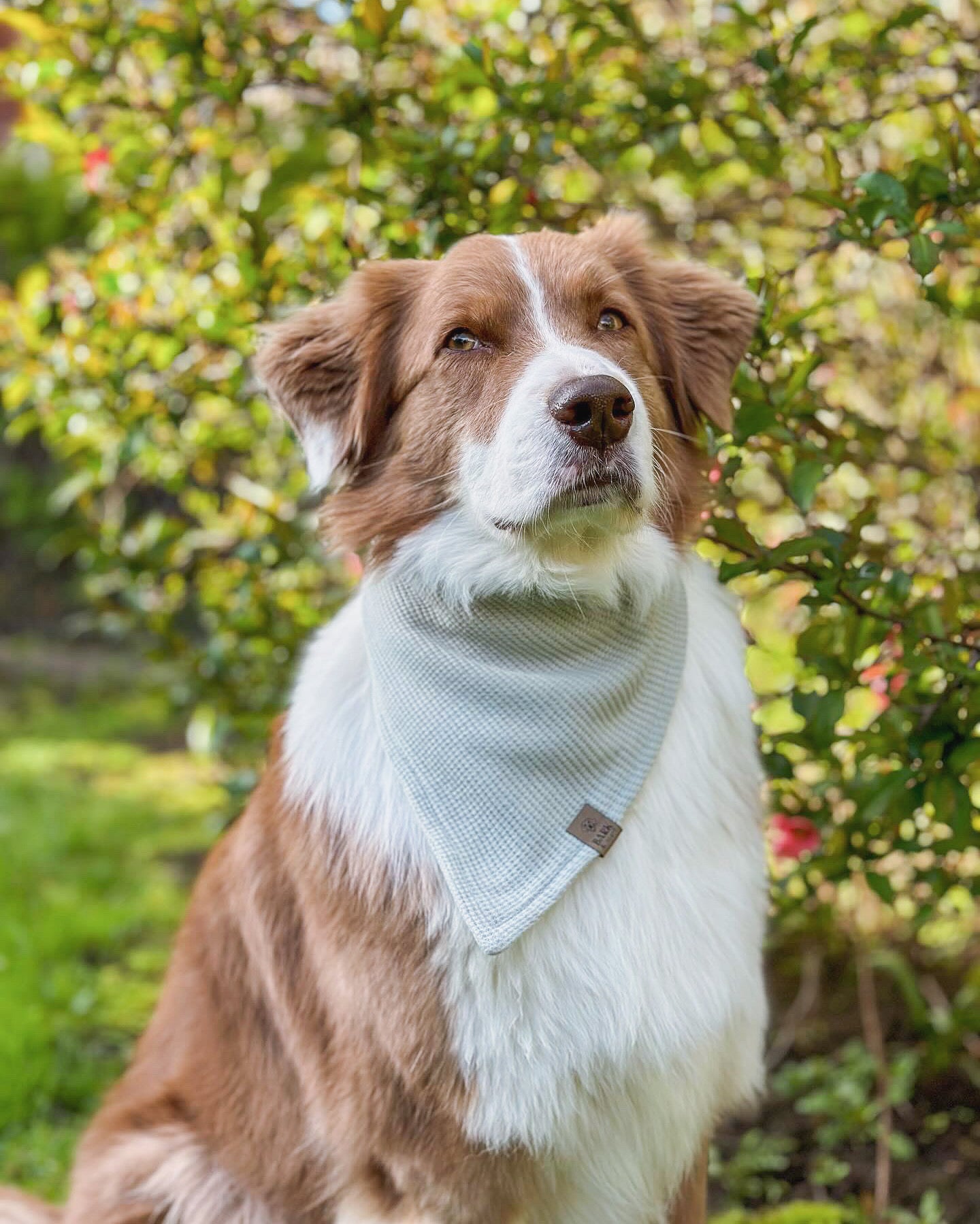 Eucalyptus Waffle Bandana