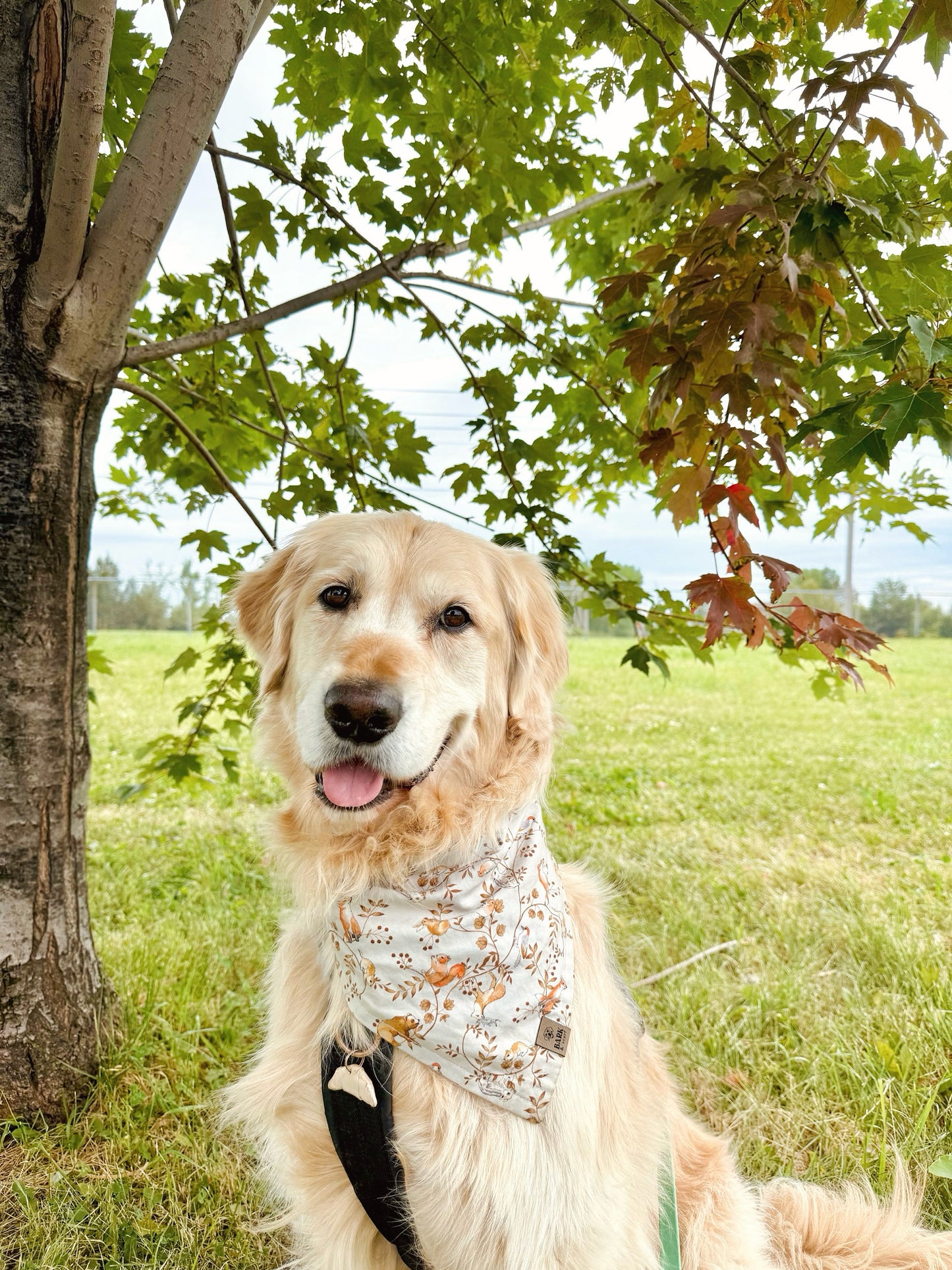 Woodland Animals Bandana