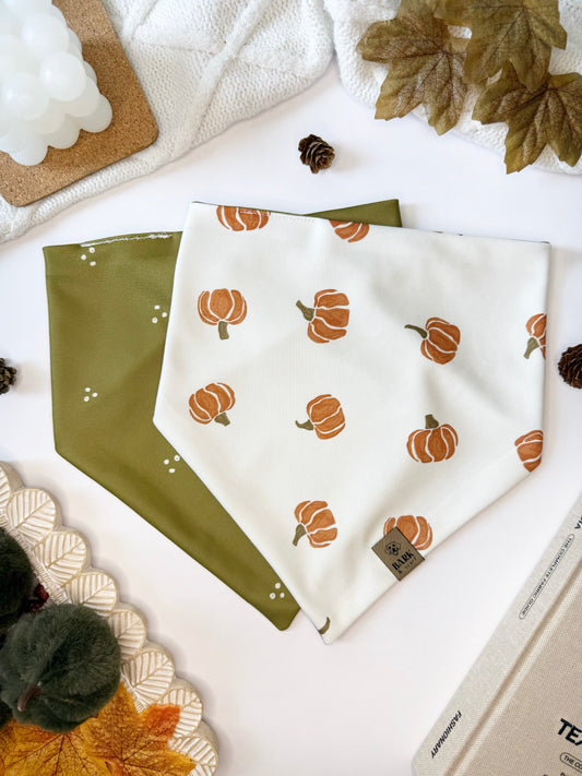 Bandana Pumpkin Patch