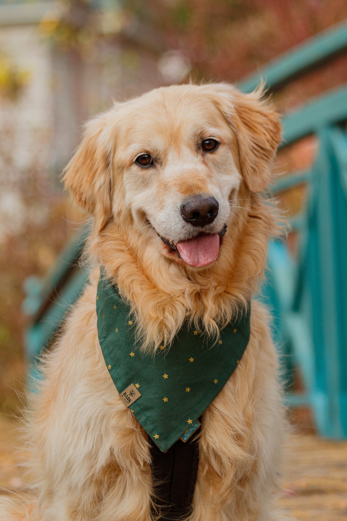 Jingle Pine Bandana