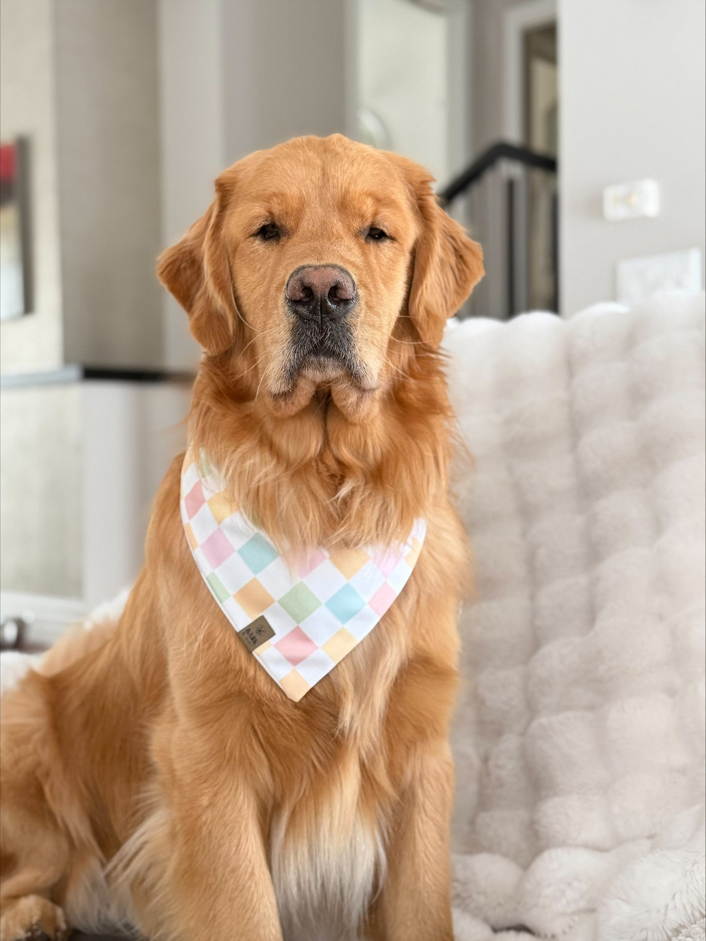 Bandana Spring Bunny