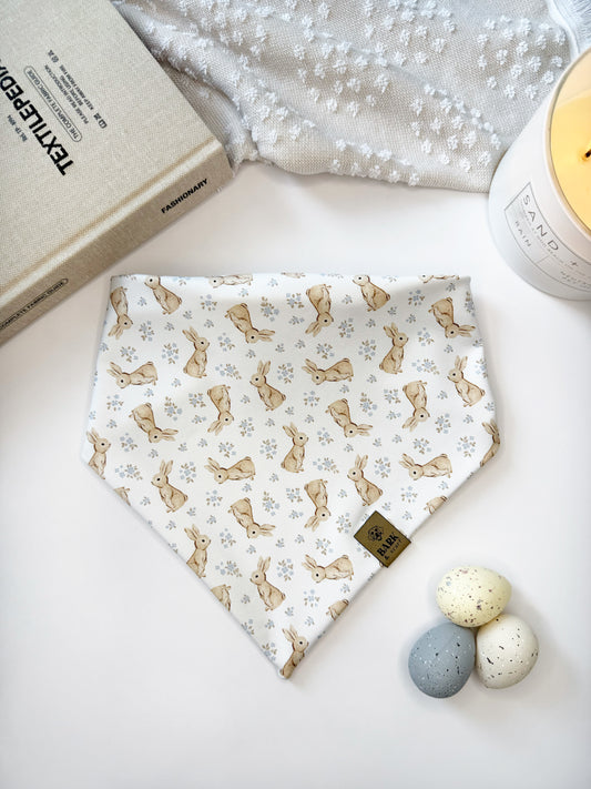 Bandana Cottontails