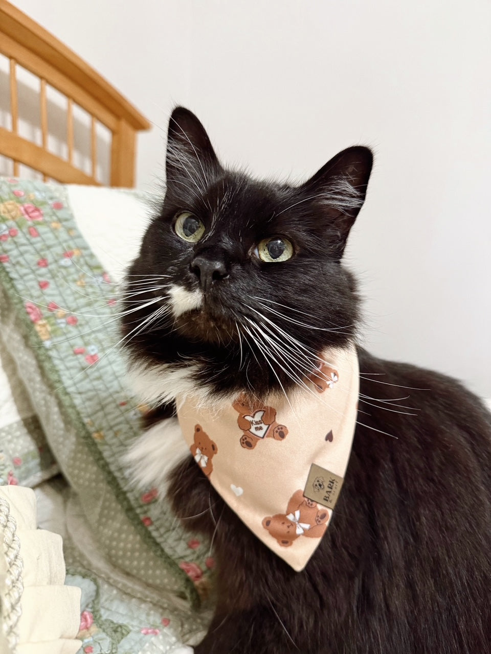 Bandana Forever My Bear