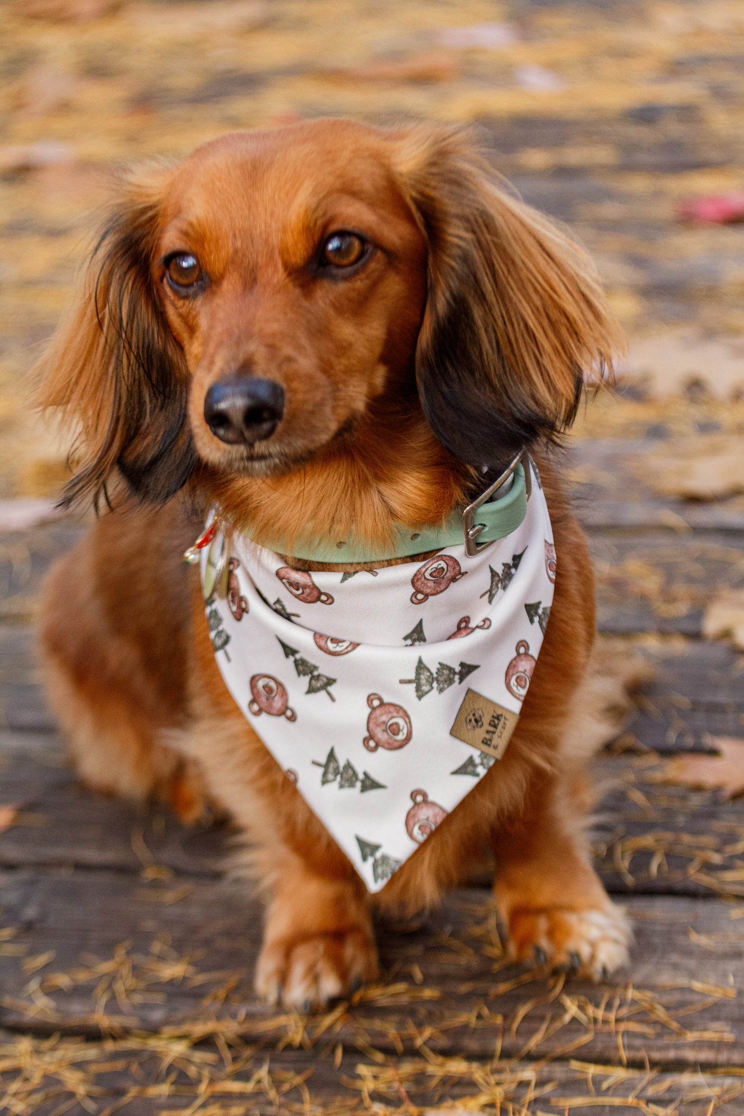 Bandana Northern Teddies