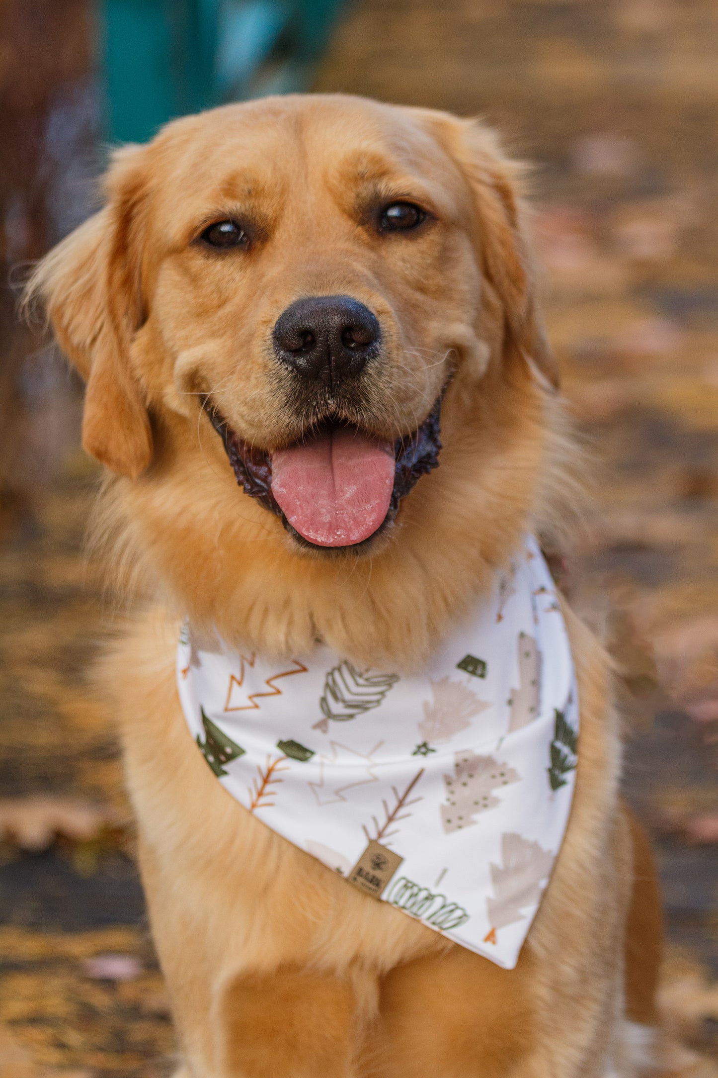 Bandana Winter Pines