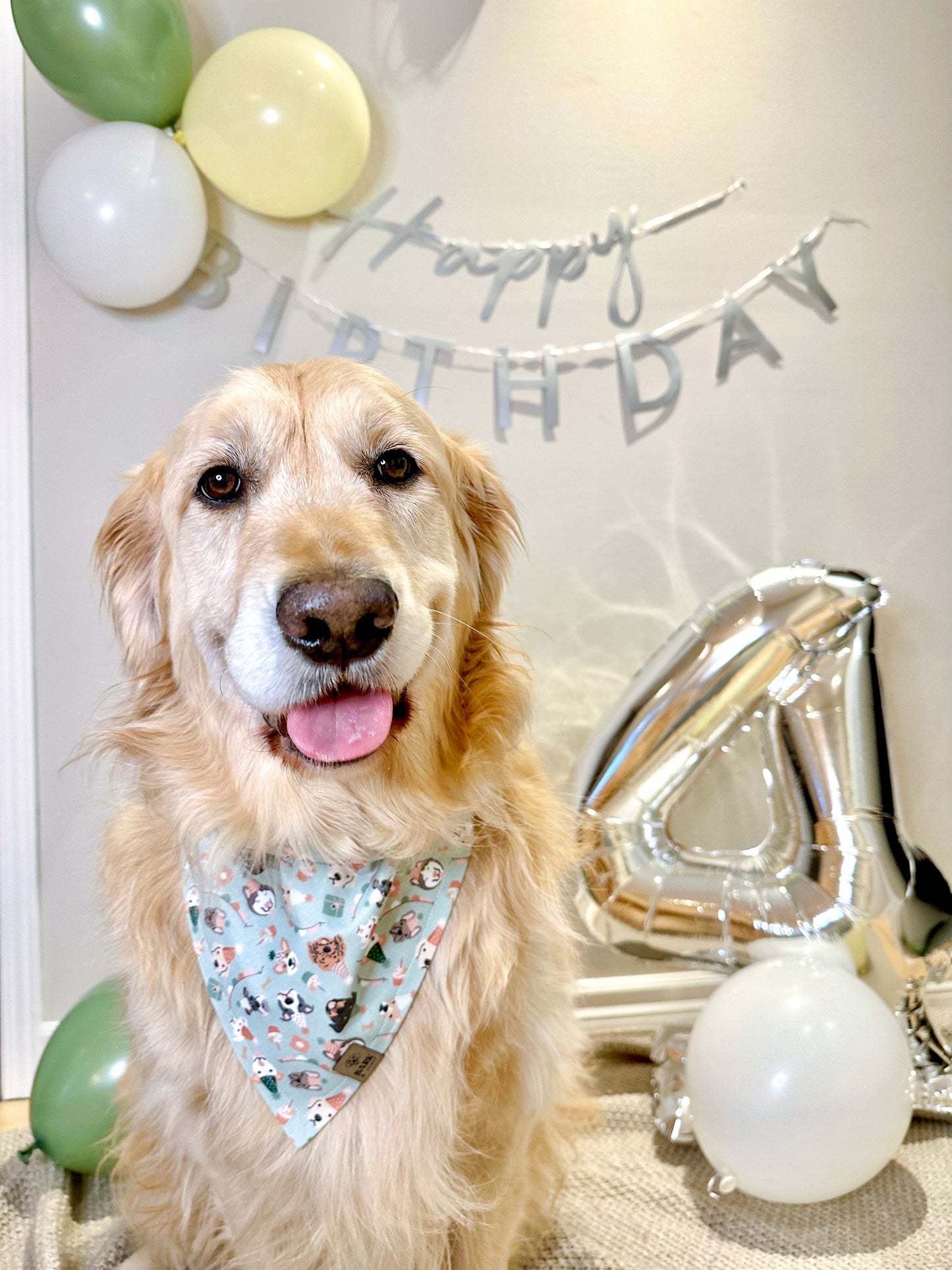 Bandana Barkday