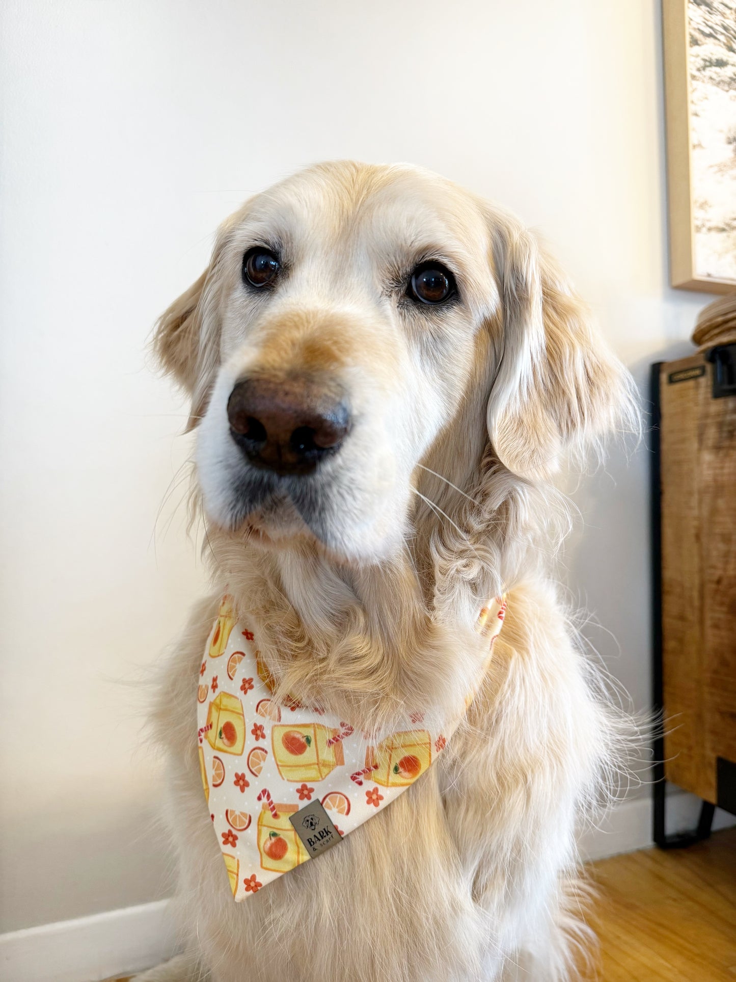 Bandana Citrus Sunrise