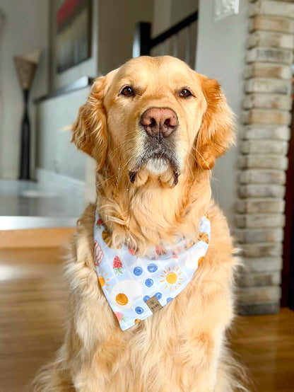 Bandana Breakfast Club