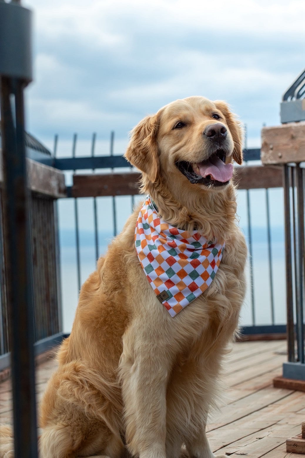 Bandana Harvest Gingham