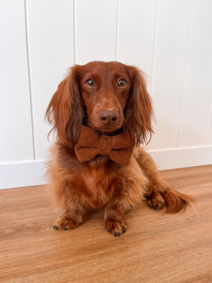 Nœud papillon Caramel Corduroy