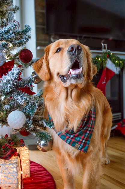 Bandana Sweet Christmas
