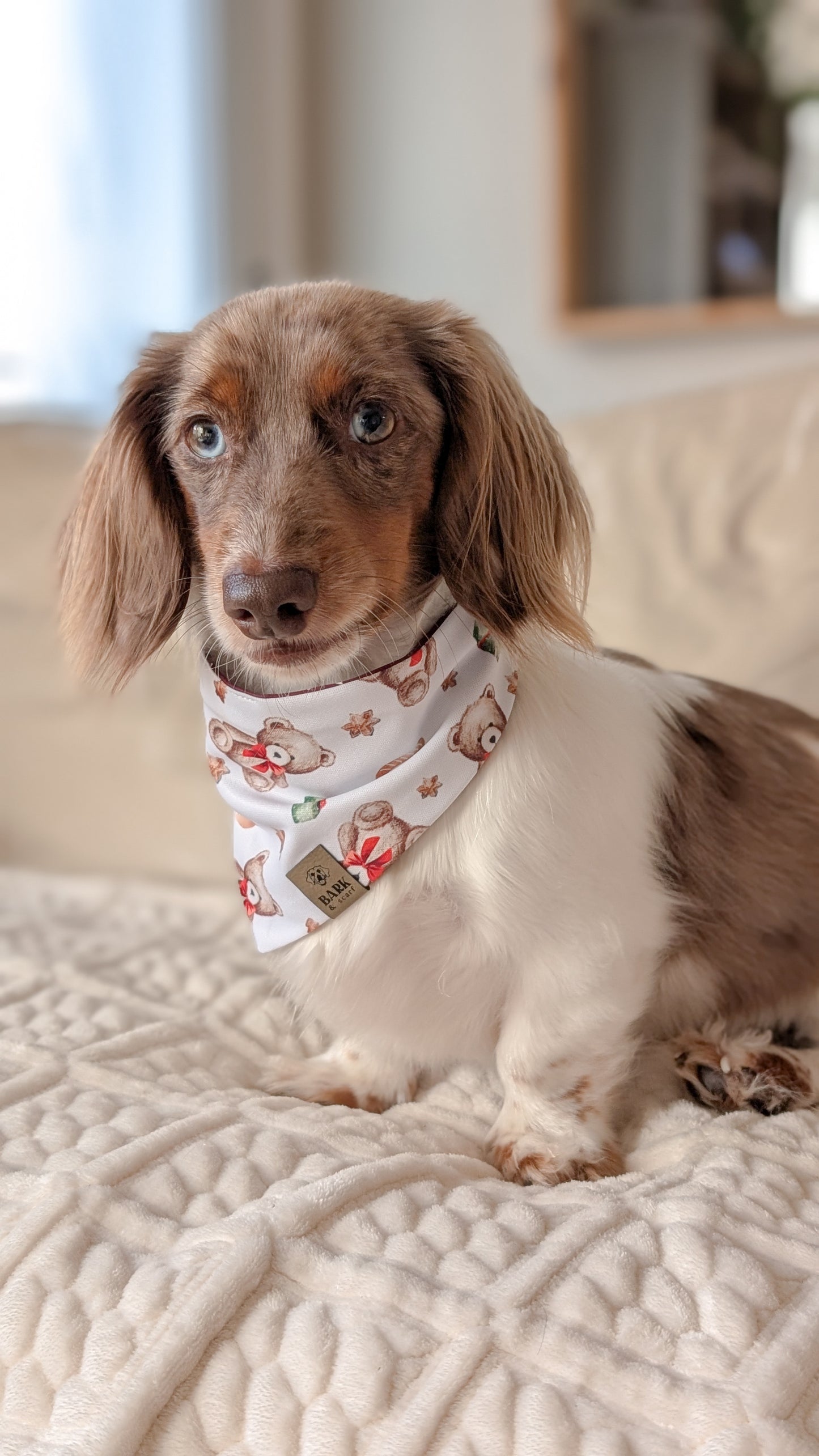 Beary Merry Bandana