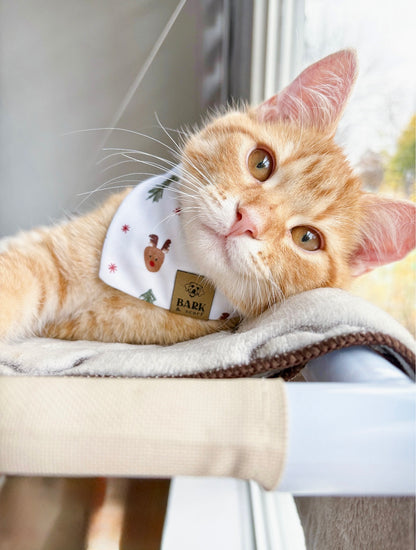 Bandana Winter Reindeer