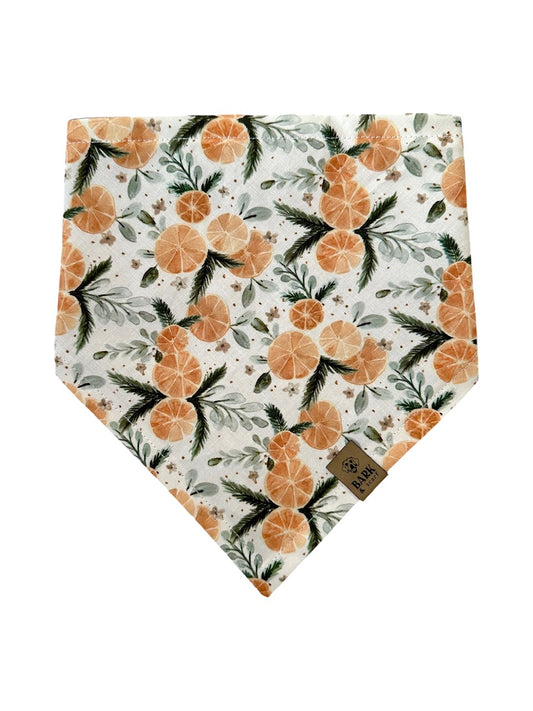 Bandana Winter Citrus