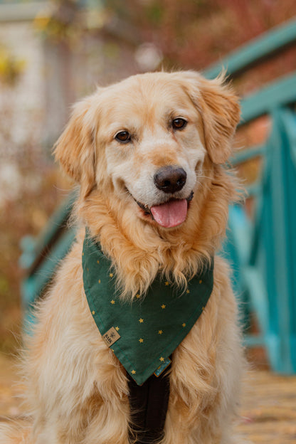 Bandana Jingle Pine