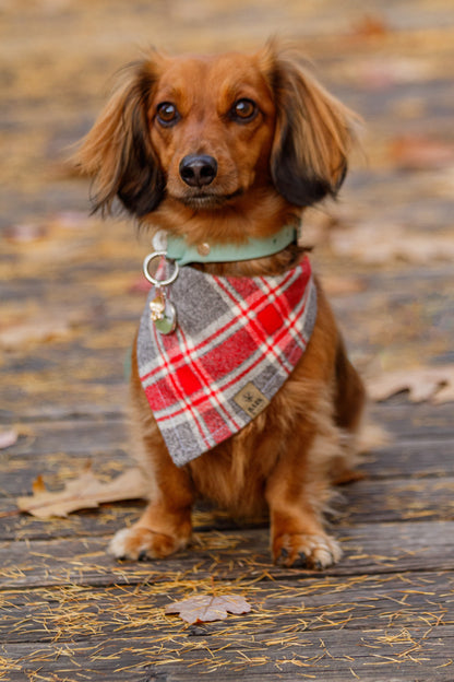 Bandana Fireside Plaid