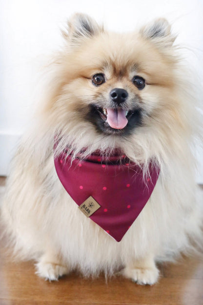 Bandana Puppy Love
