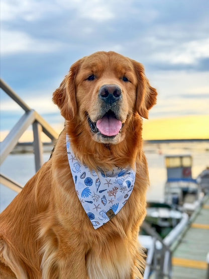 Coastline Bandana