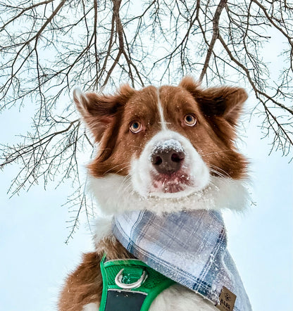 Bandana Winter Plaid