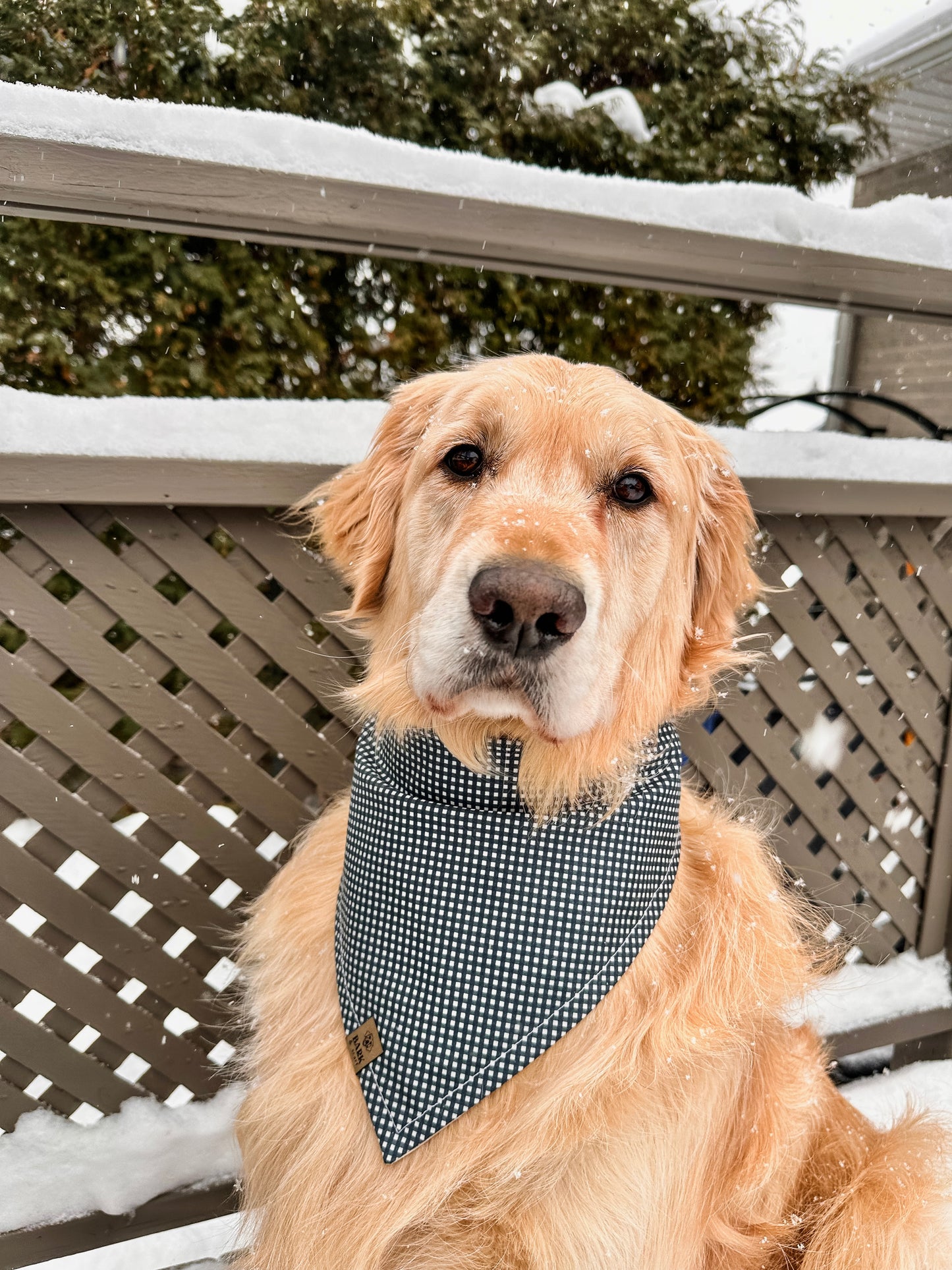 Bandana Sweetheart