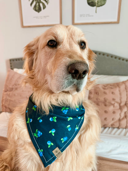 Bandana Blueberries