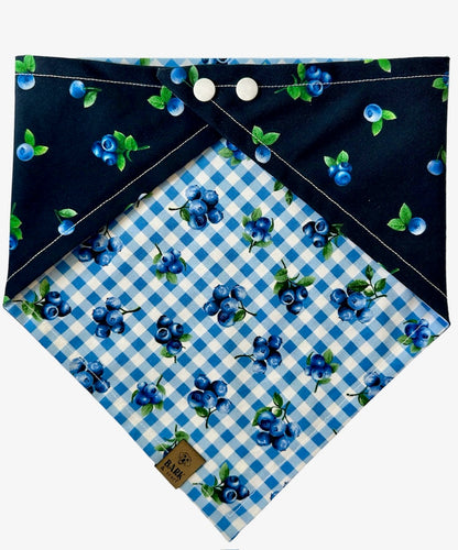 Bandana Blueberries