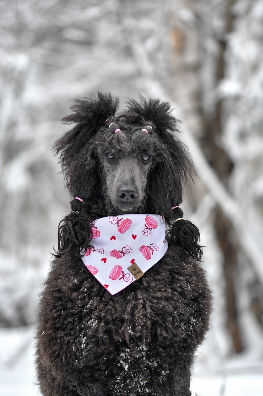 Bandana Pink Coquette