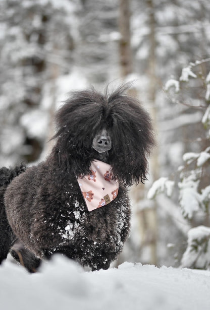 Bandana Forever My Bear